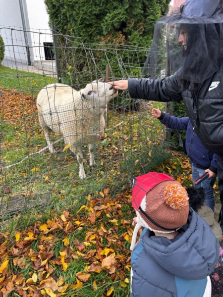 Image 11 : Crèche familiale à Koerich : Maerchenland Sàrl