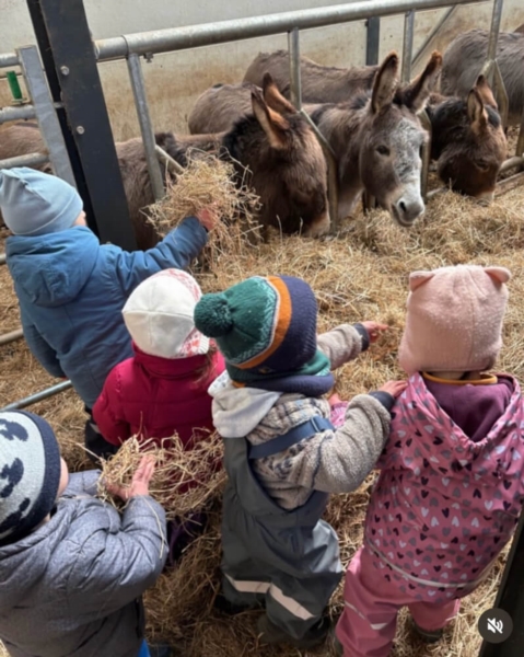 Image 13 : Crèche familiale à Koerich : Maerchenland Sàrl