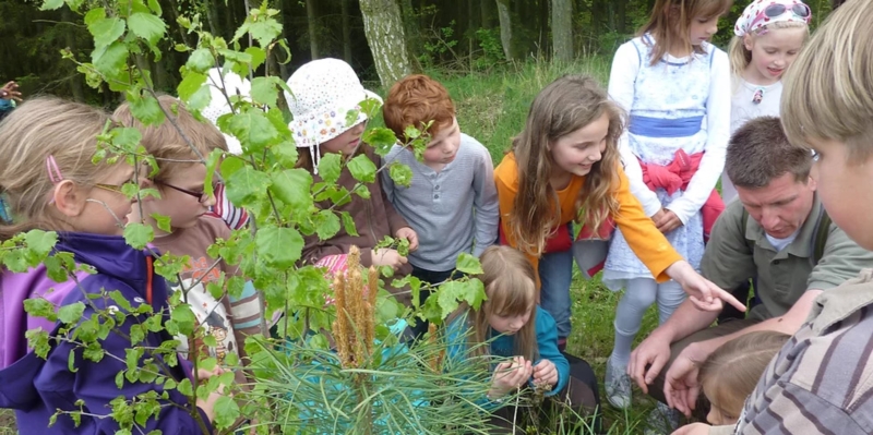Image 4 : Accueil périscolaire à Junglinster : Lënster Païperlék asbl - SEA Païperlék Junglister