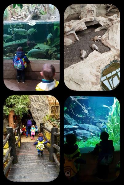Image 11 : Crèche et foyer de jour enfant à Leudelange : Les P'tits Choux SA